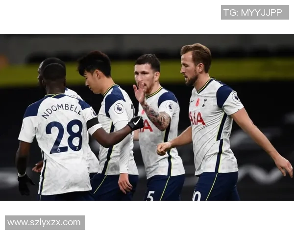 热刺与埃弗顿激战正酣赛果揭晓引发球迷热议